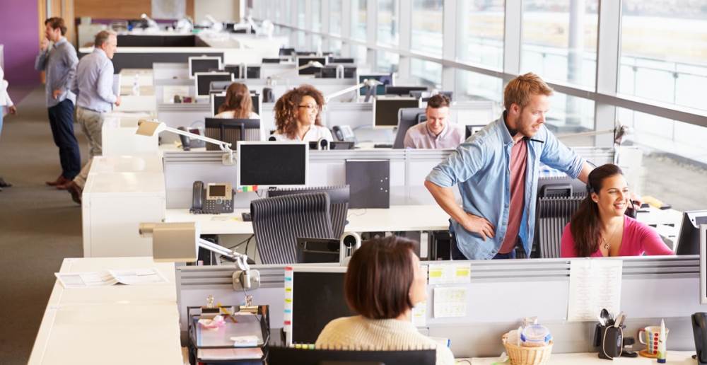 izmir web tasarım ofisi