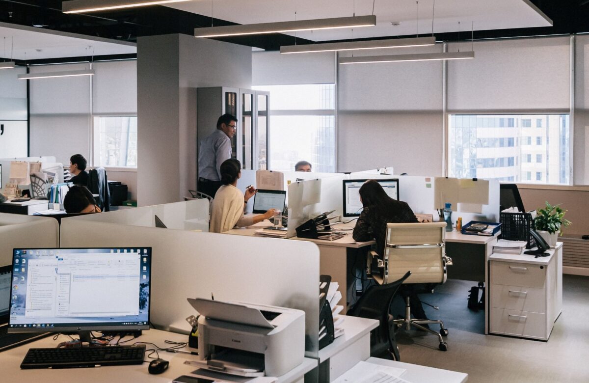 Foça Web Tasarımı