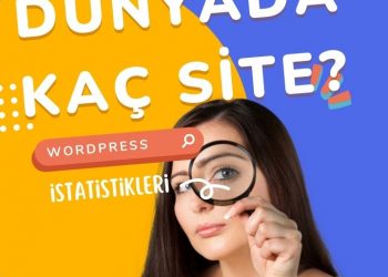 wordpress istatistikleri 2022