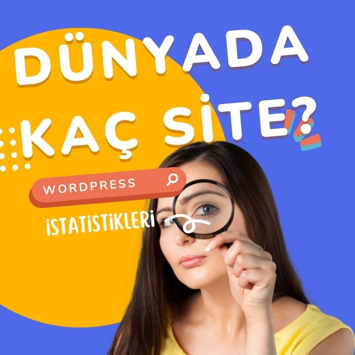 wordpress istatistikleri 2022