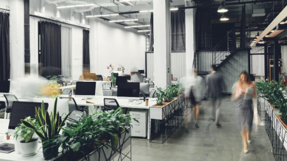 izmir web tasarım ofisi