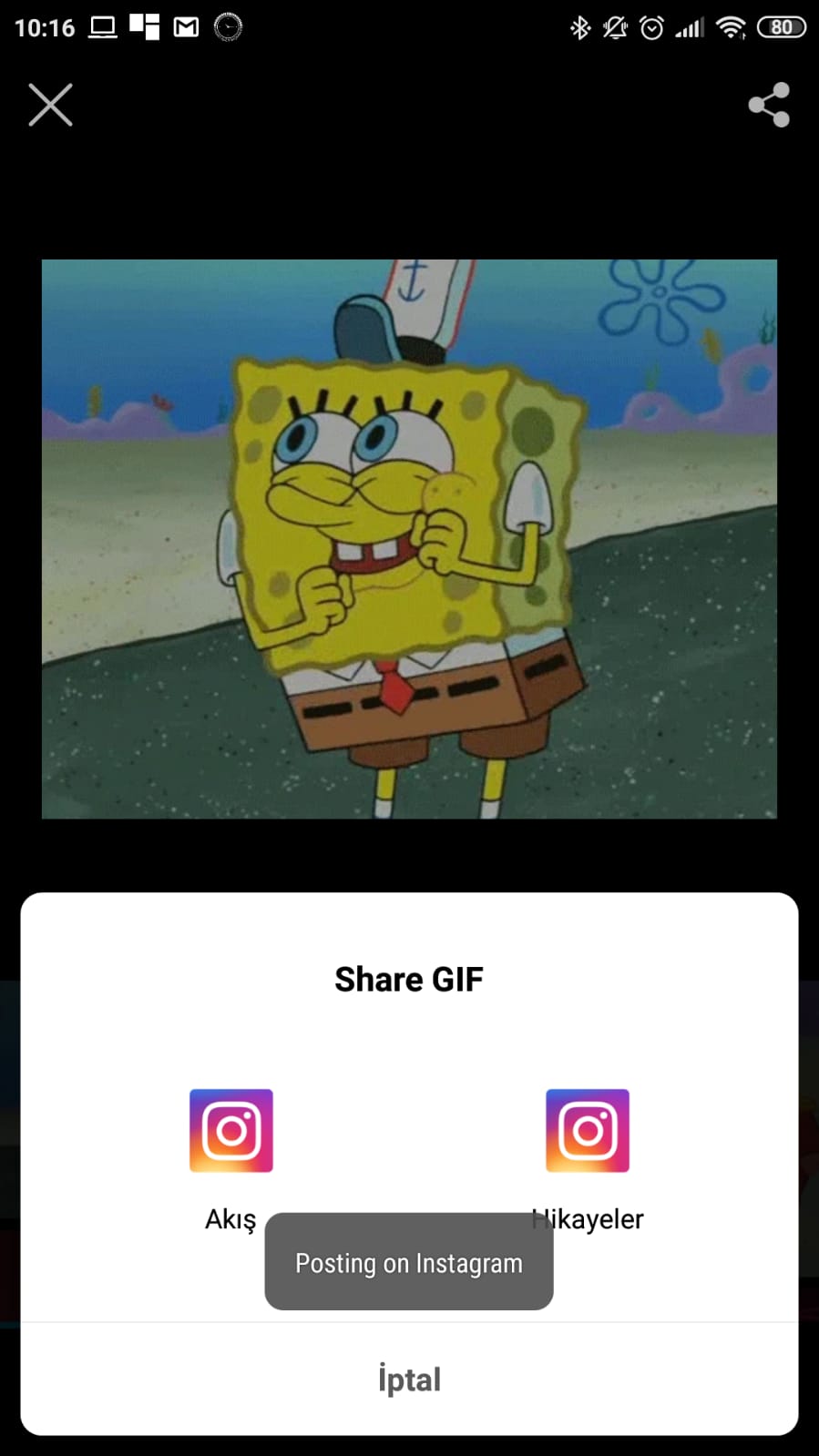 imstagram giphy kullanımı