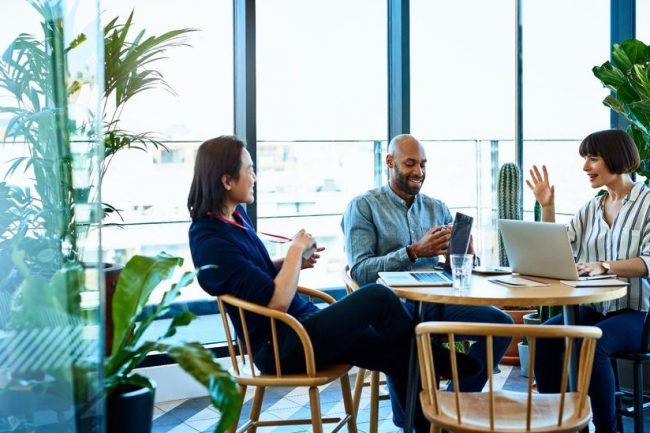 izmir web tasarımı ofisi