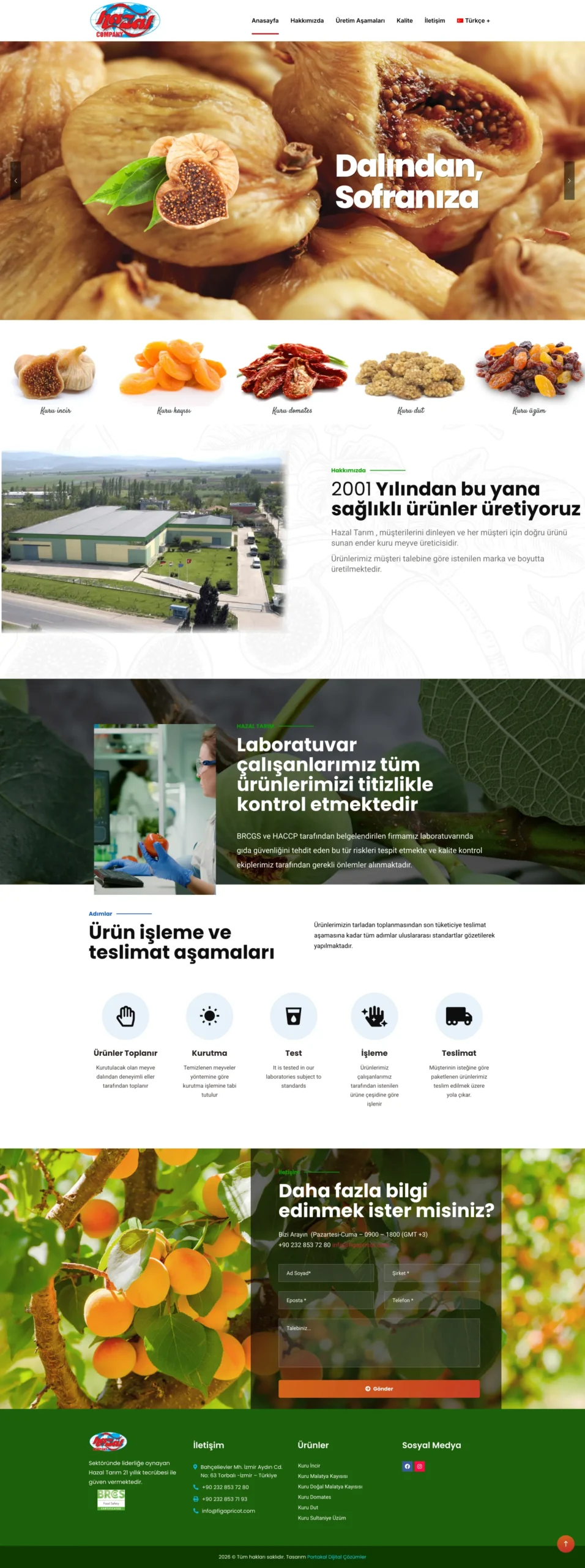 Torbalı İzmir Kuru Meyve İhracat Firması için Çok Dilli Kurumsal Web Tasarım